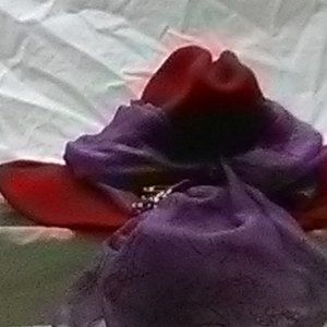 Red Hat Ladies Cowboy Hat